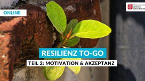 Pflanze auf Mauer mit Schrift "Resilienz to go Teil 2: Motivation & Akzeptanz