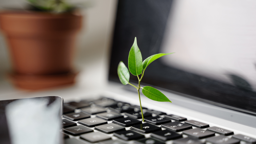 Eine Pflanze wächst aus einer Laptoptastatur